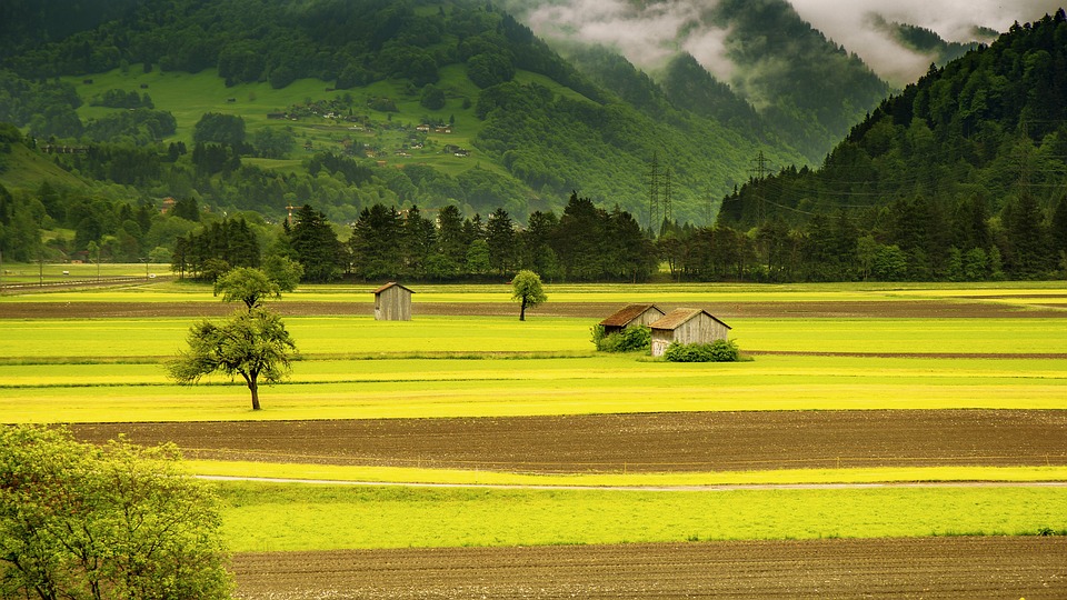 Rente für Landwirte: Besonderheiten
